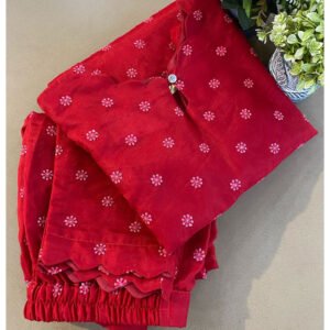 Organza thread Work Kurta